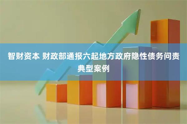 智财资本 财政部通报六起地方政府隐性债务问责典型案例