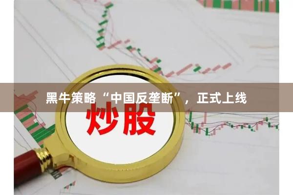 黑牛策略 “中国反垄断”，正式上线