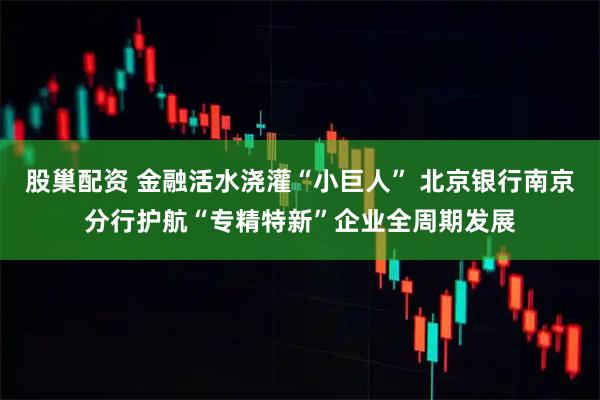 股巢配资 金融活水浇灌“小巨人” 北京银行南京分行护航“专精特新”企业全周期发展
