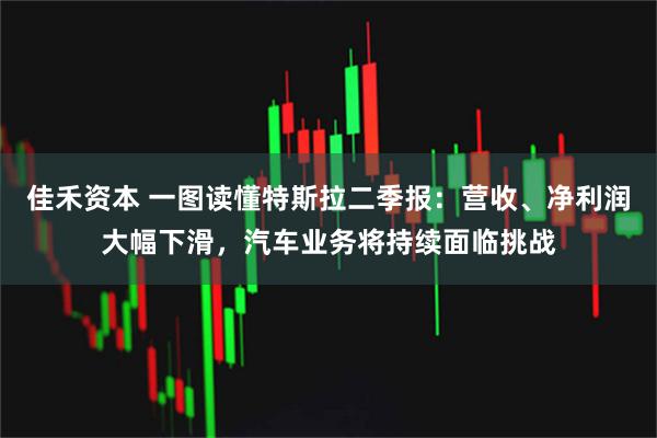 佳禾资本 一图读懂特斯拉二季报：营收、净利润大幅下滑，汽车业务将持续面临挑战